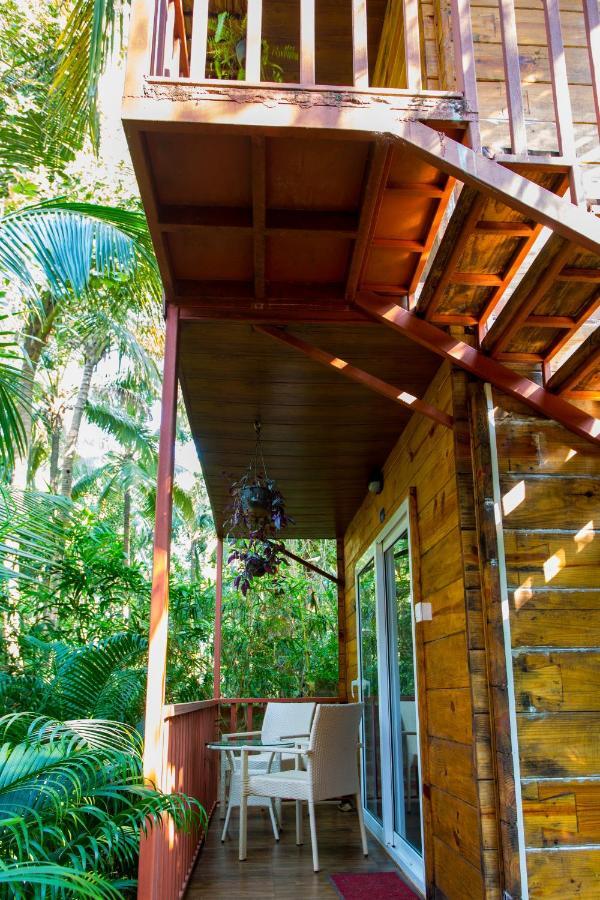 Mariners Bay Resort Mandrem Exterior photo