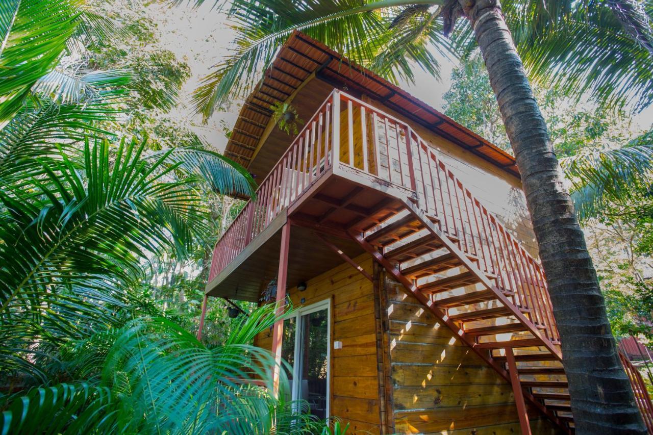 Mariners Bay Resort Mandrem Exterior photo